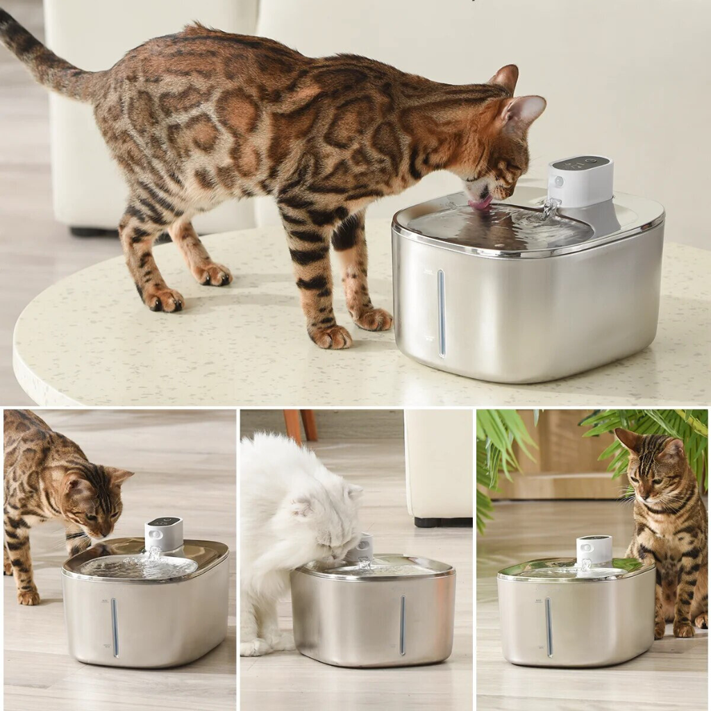 The KittySpout™ Fuente de Agua Inalámbrica para Gatos – PAGA 1 LLEVATE 2